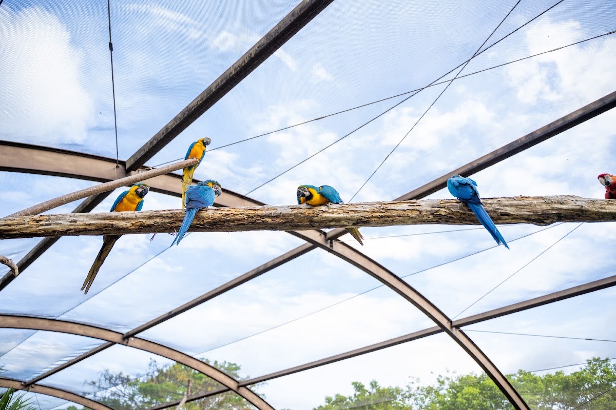 Graeme Hall Nature Sanctuary, Barbados — Bridgetown
