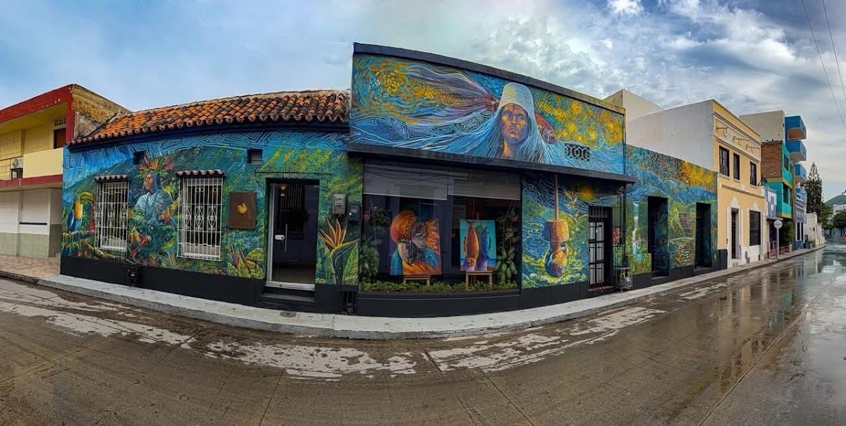 Guasimo — Santa Marta