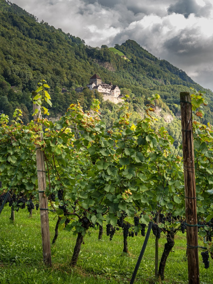 Hofkellerei des Fürsten von Liechtenstein — Schaan