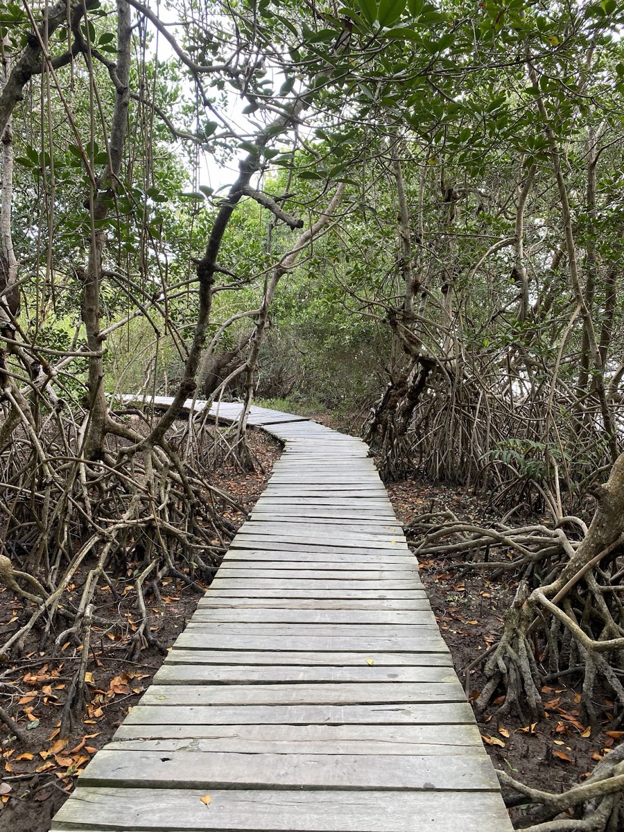 Hoyo negro Yalahau — Holbox