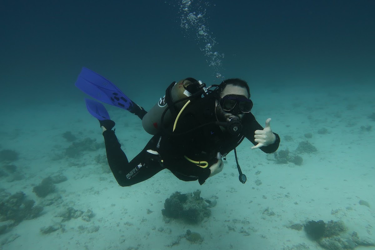 Hurghada Diving | Scuba Diving Center in Hurghada, PADI Courses — Hurghada