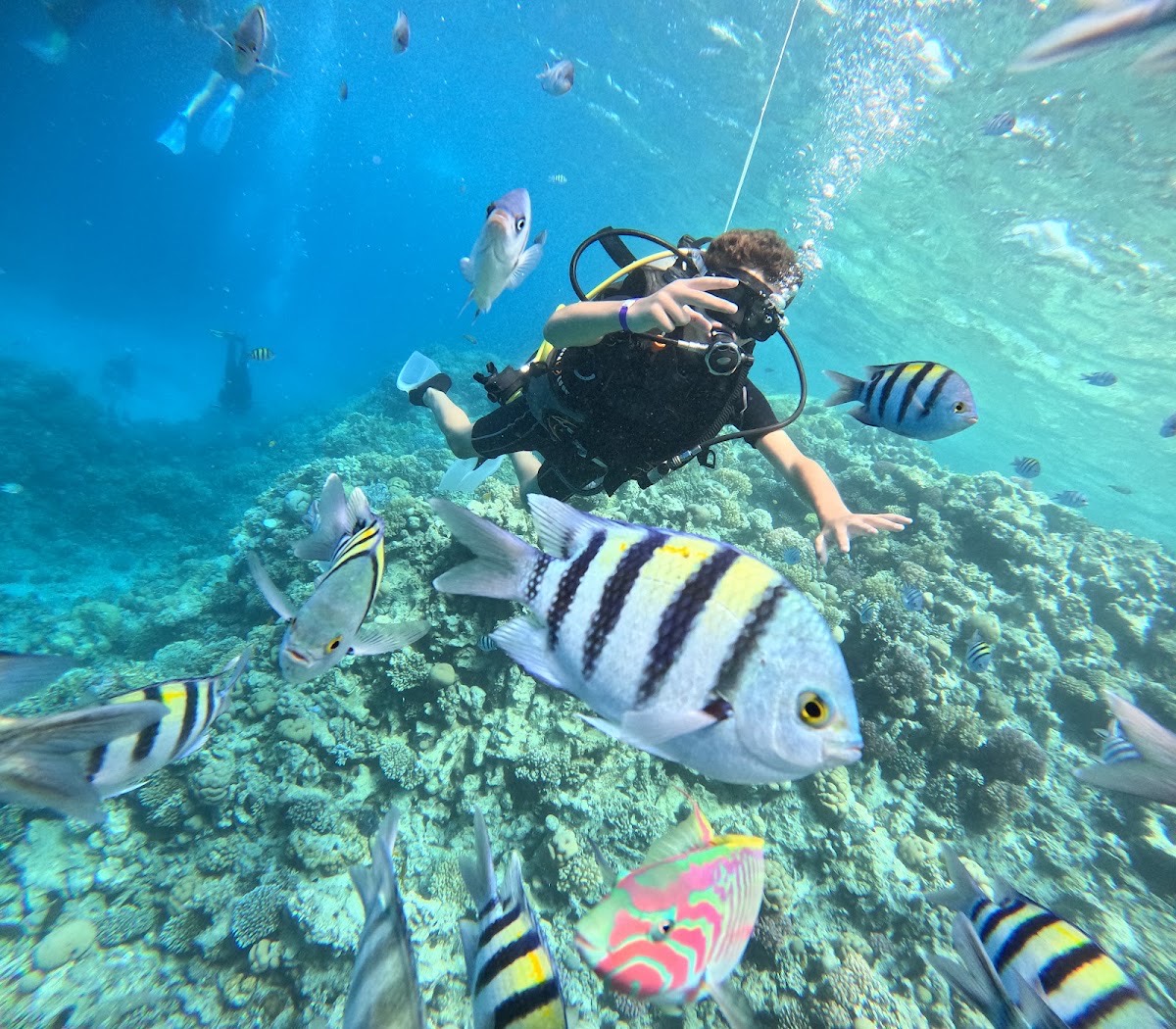 Hurghada Dream Tour — Hurghada