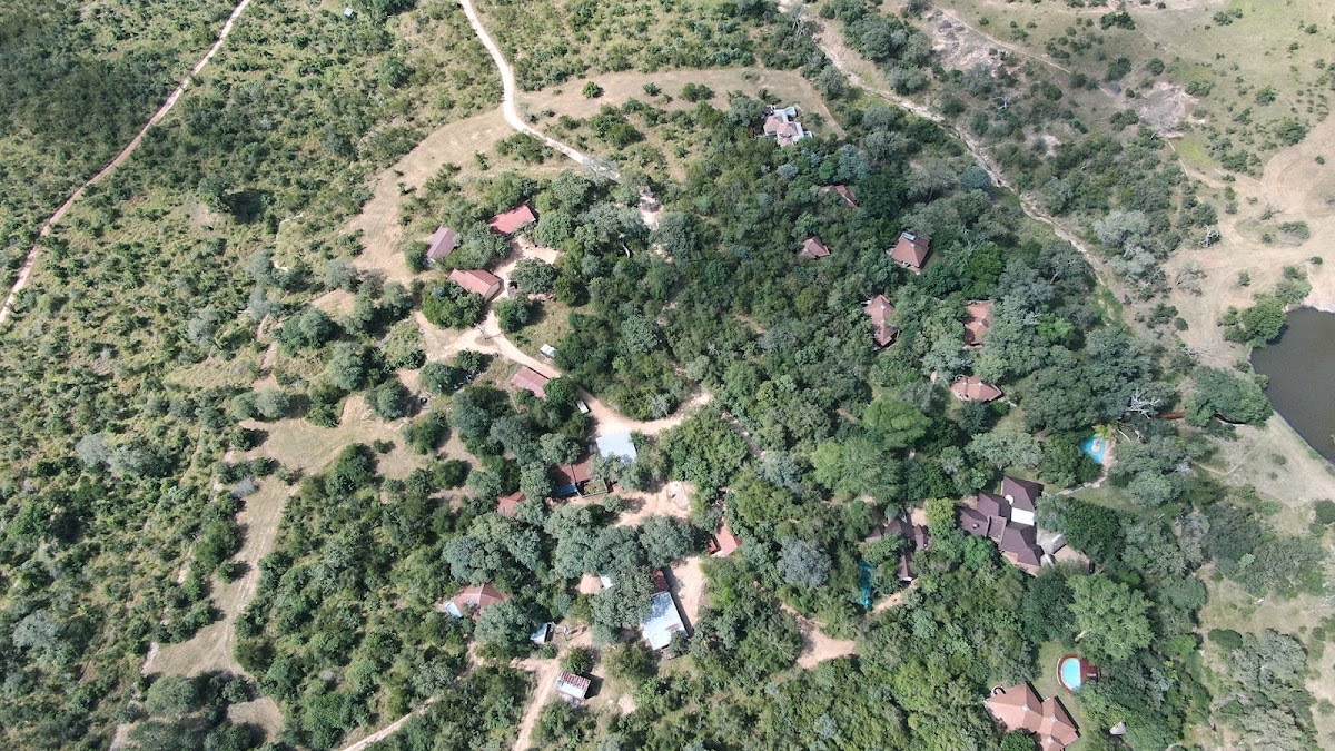 Idube Game Reserve — Sabi Sand