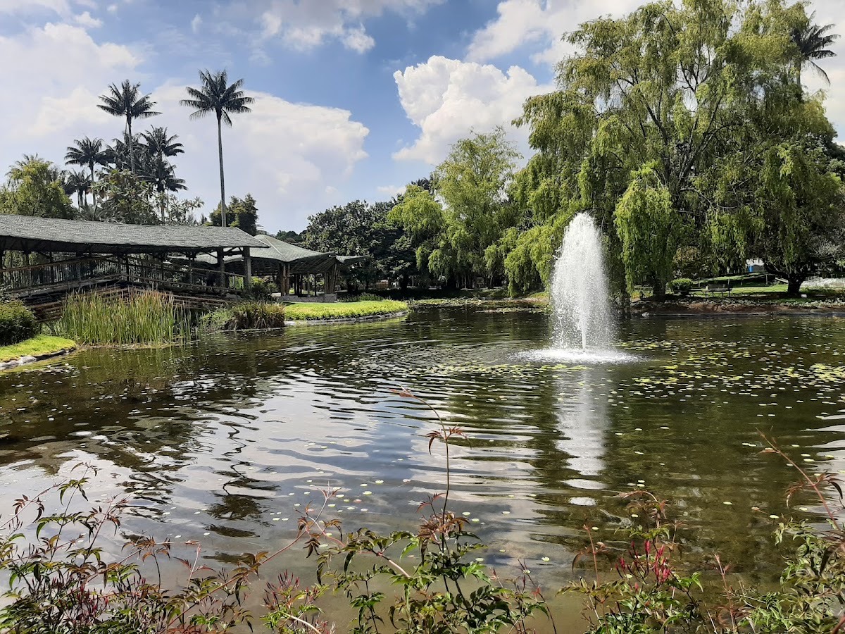 Jardín Botánico de Bogotá José Celestino Mutis — Bogotá