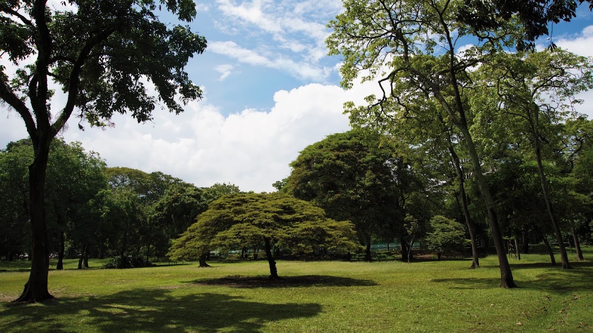 Jardín Botánico de Medellín — Medellín
