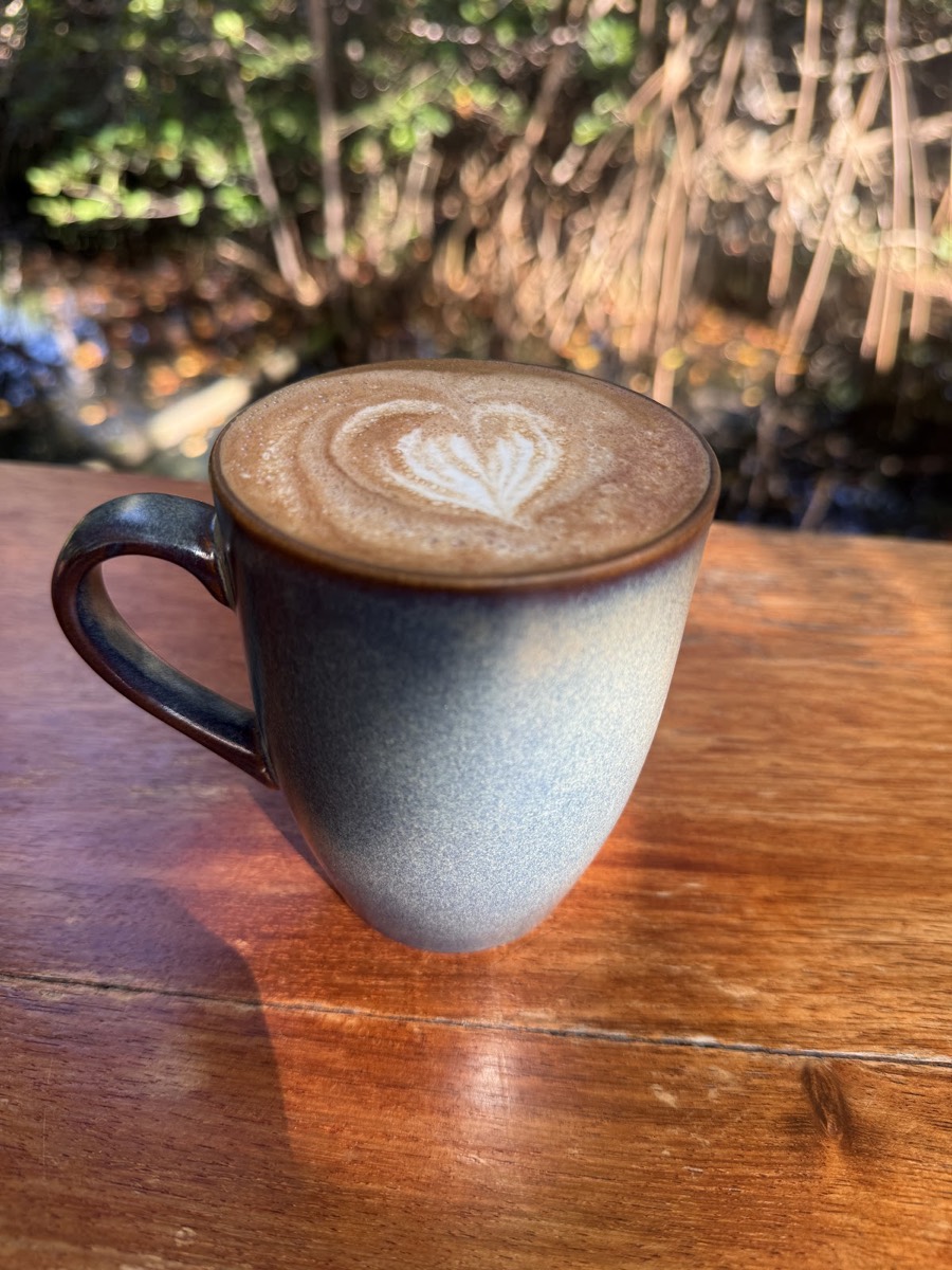 Jungle Cafe — Akumal