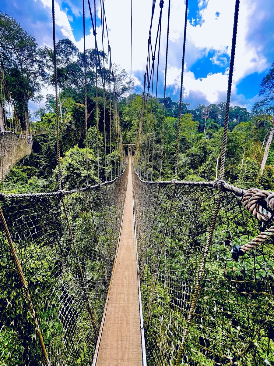 Kakum National Park — Ada Foah