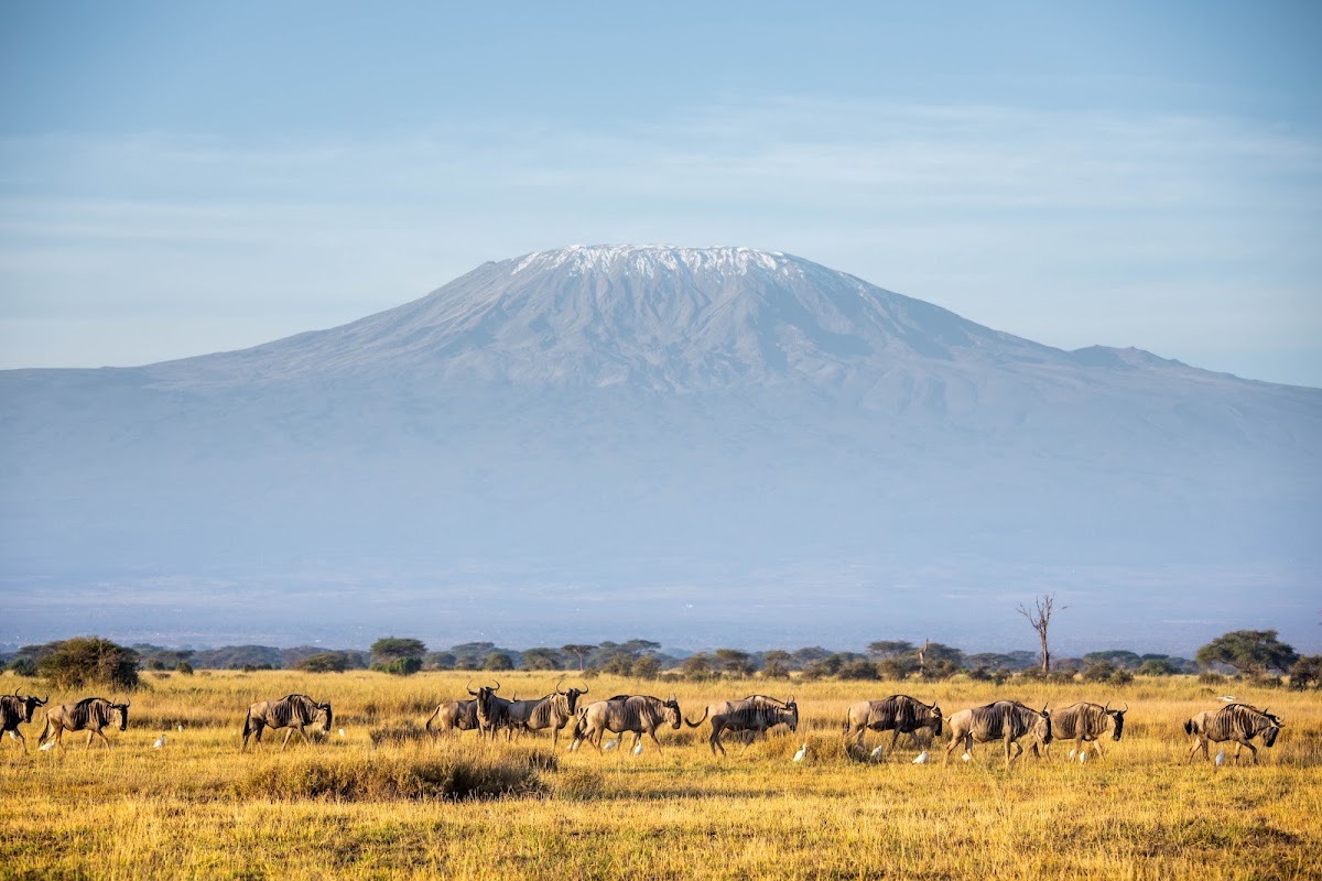 Kimana Sanctuary — Amboseli