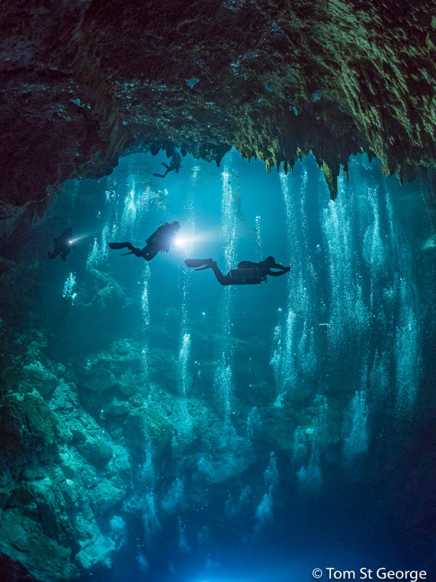 Koox Diving | Scuba Diving Center Tulum — Tulum