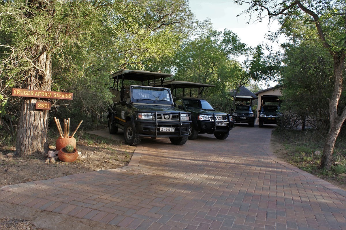 Kruger Africa Safaris in Kruger National Park — Krüger-Nationalpark