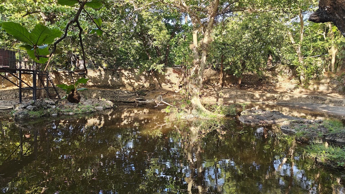Kuze - Mombasa