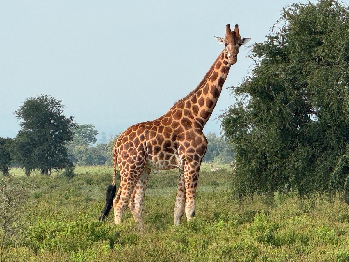 LAKE NAKURU NATIONAL PARK OFFICES — Lake Nakuru