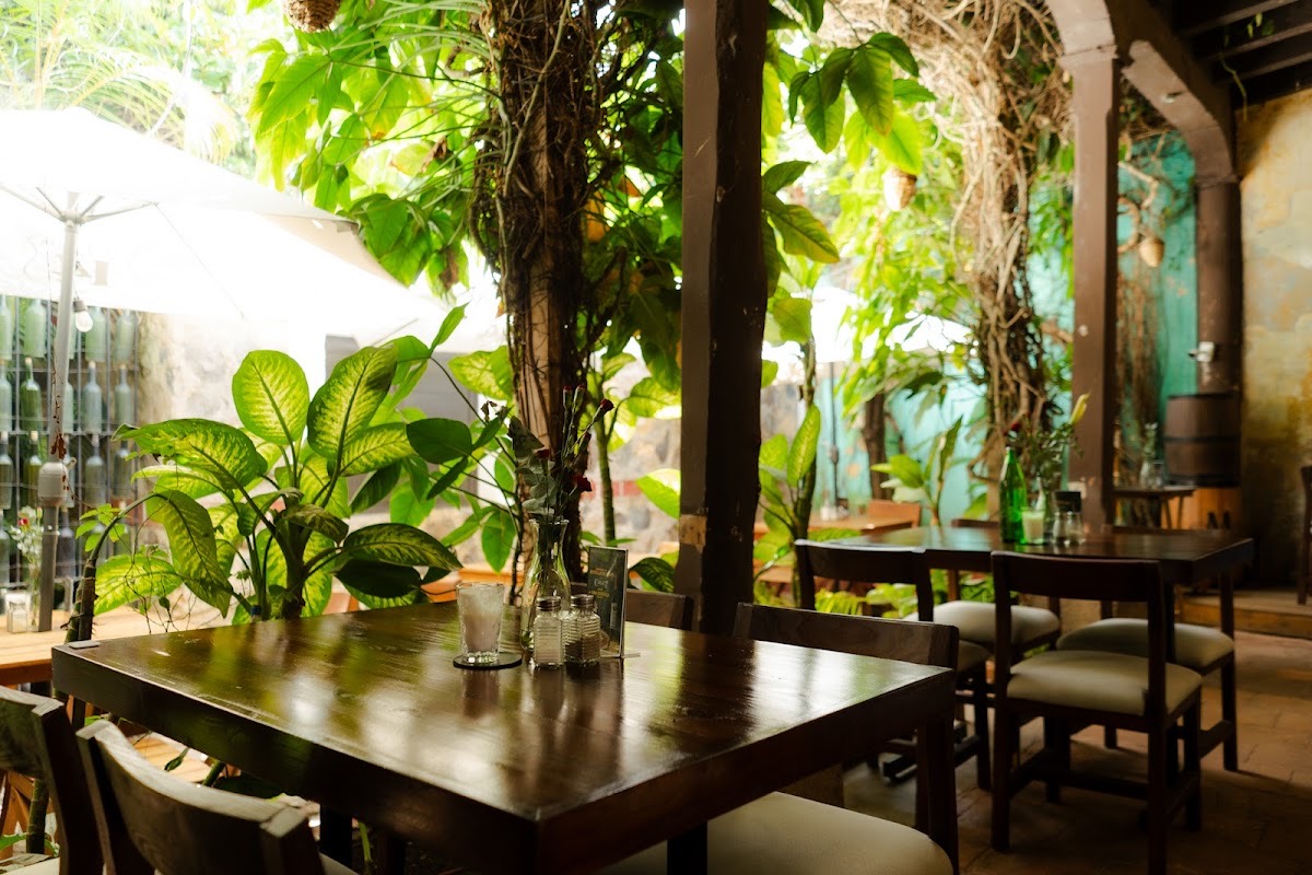Laurel Bistro — Antigua Guatemala