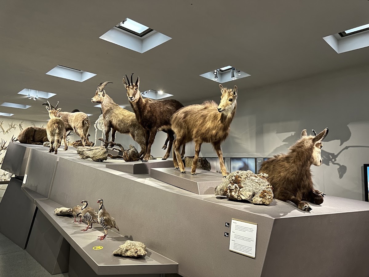 Liechtensteinisches LandesMuseum — Schaan