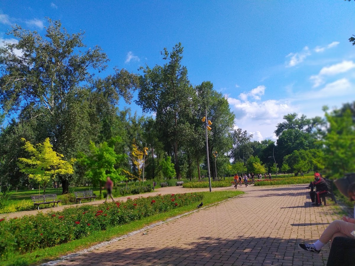 Limanski Park — Novi Sad