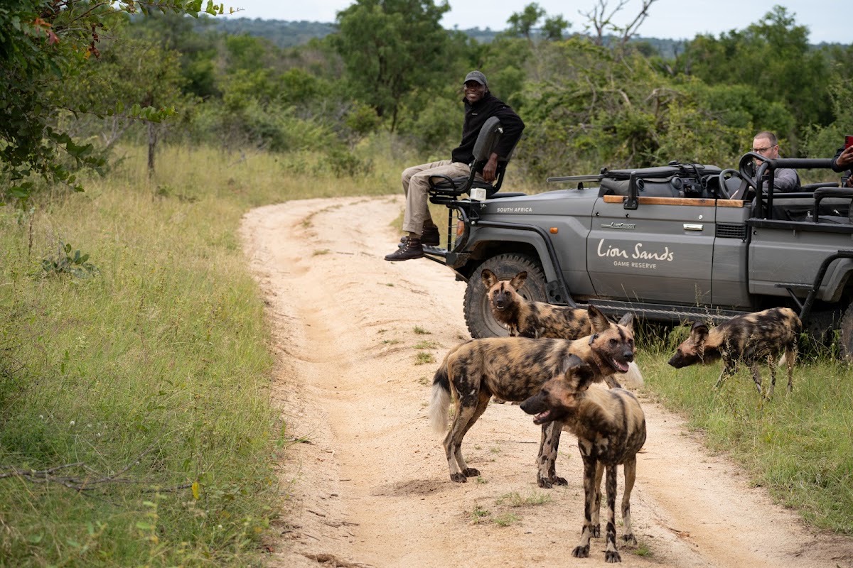 Lion Sands Game Reserve — Krüger-Nationalpark