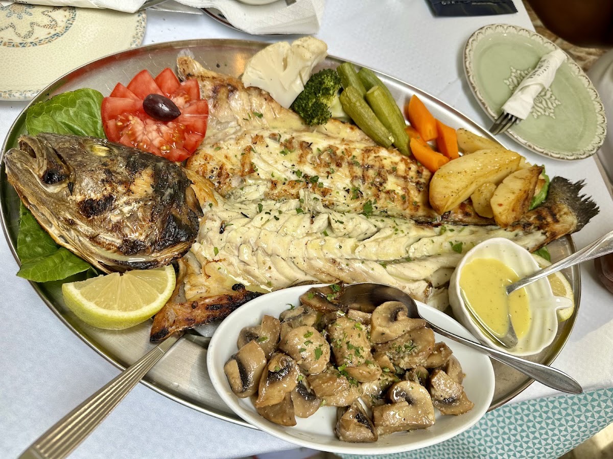 LIONDI Traditional Greek Restaurant