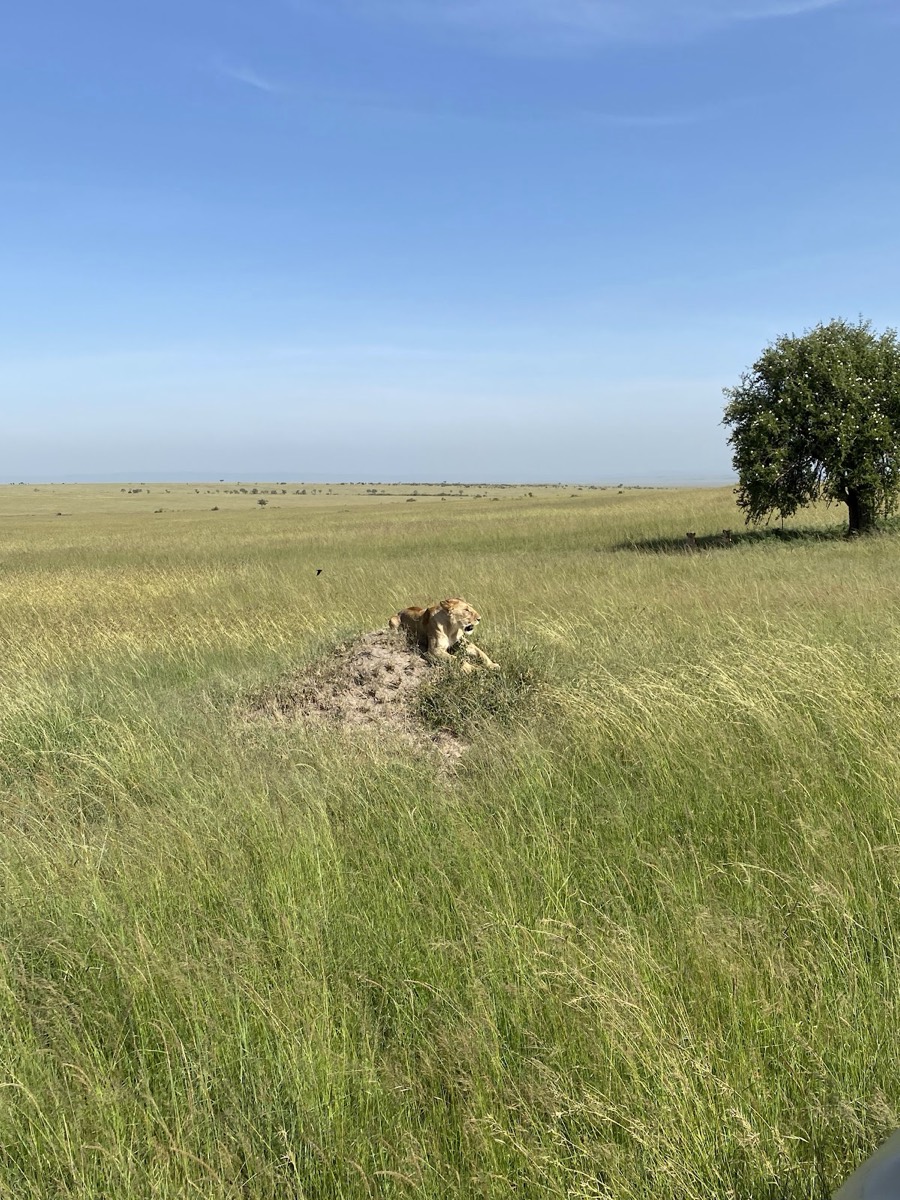 Lookout hill — Masai Mara
