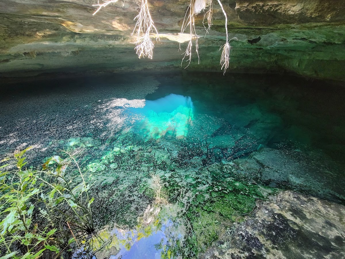 Lucayan National Park — Freeport