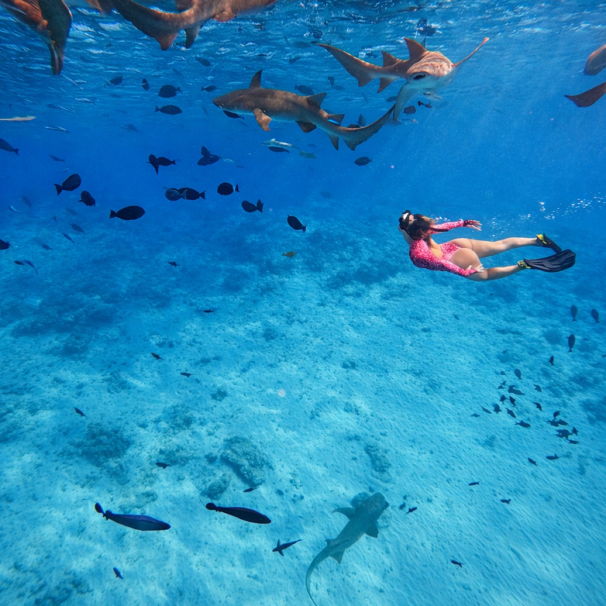 Maldives Fellas Excursions and Watersports — Maafushi