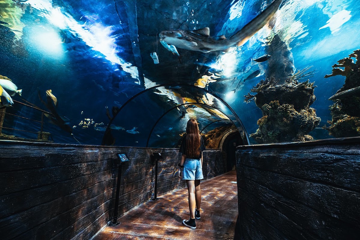 Malta National Aquarium — Mdina