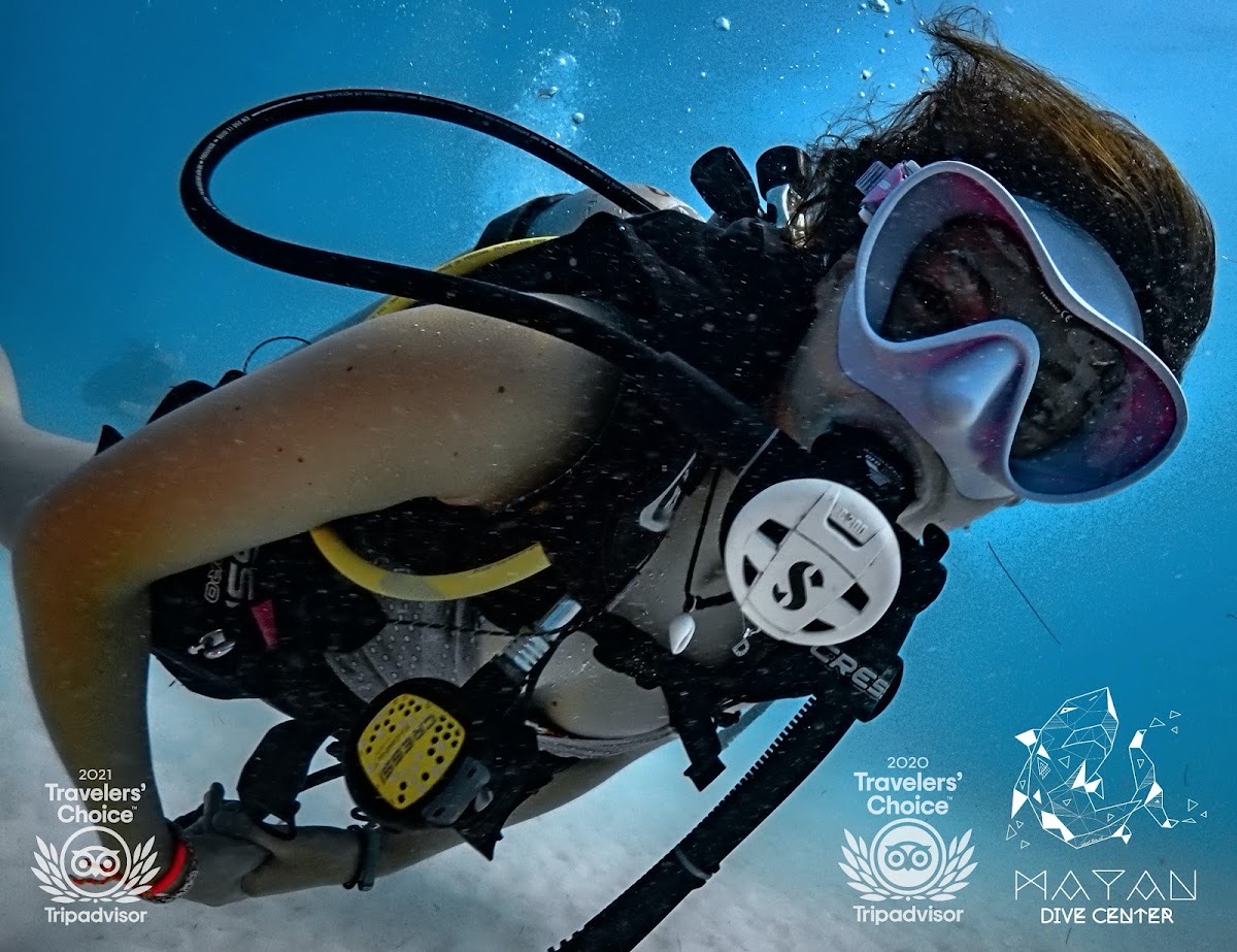 MAYAN DIVE CENTER — Playa del Carmen
