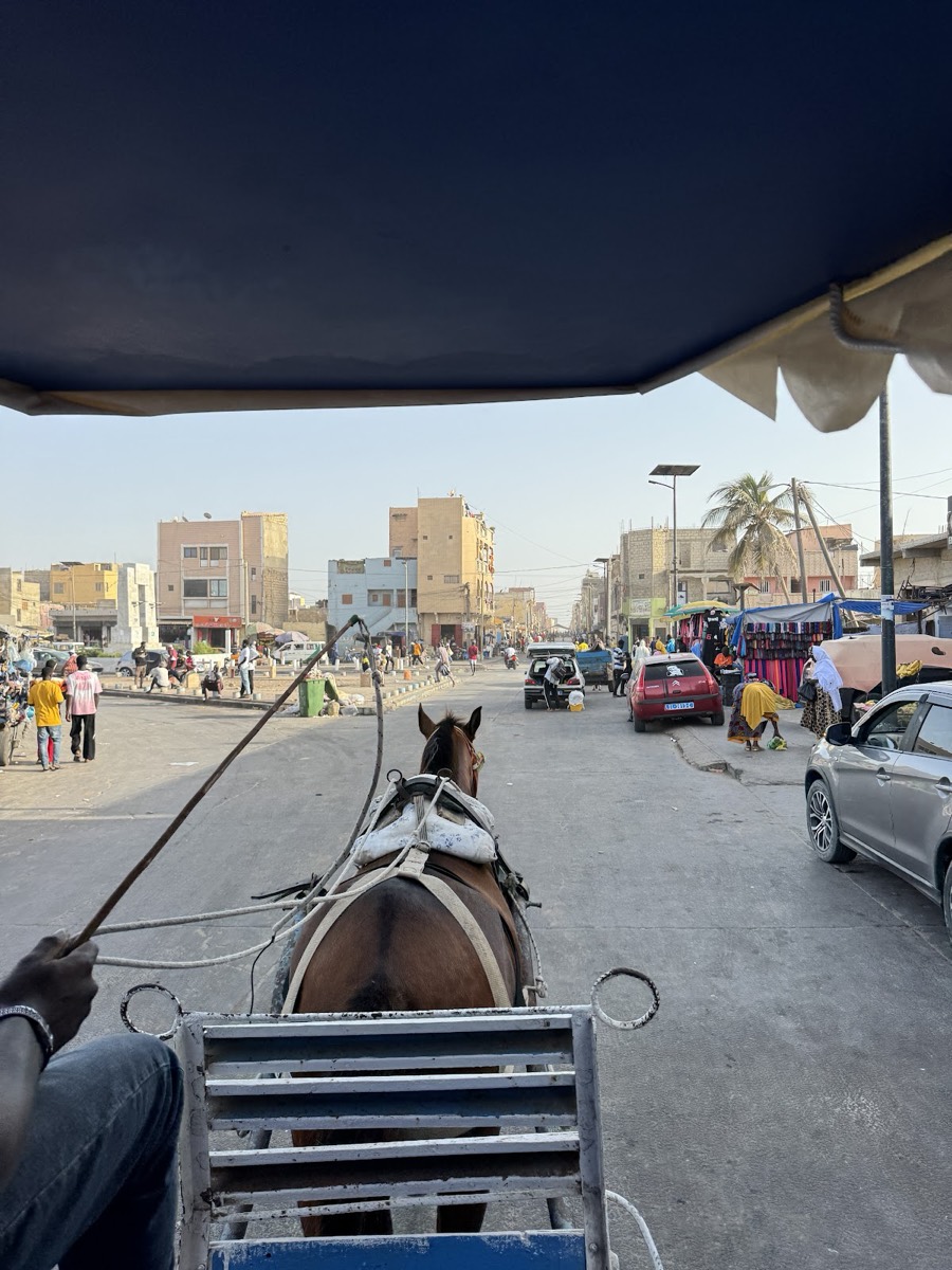 Momo Expériences Tourîstiques Sénégal — Saint-Louis