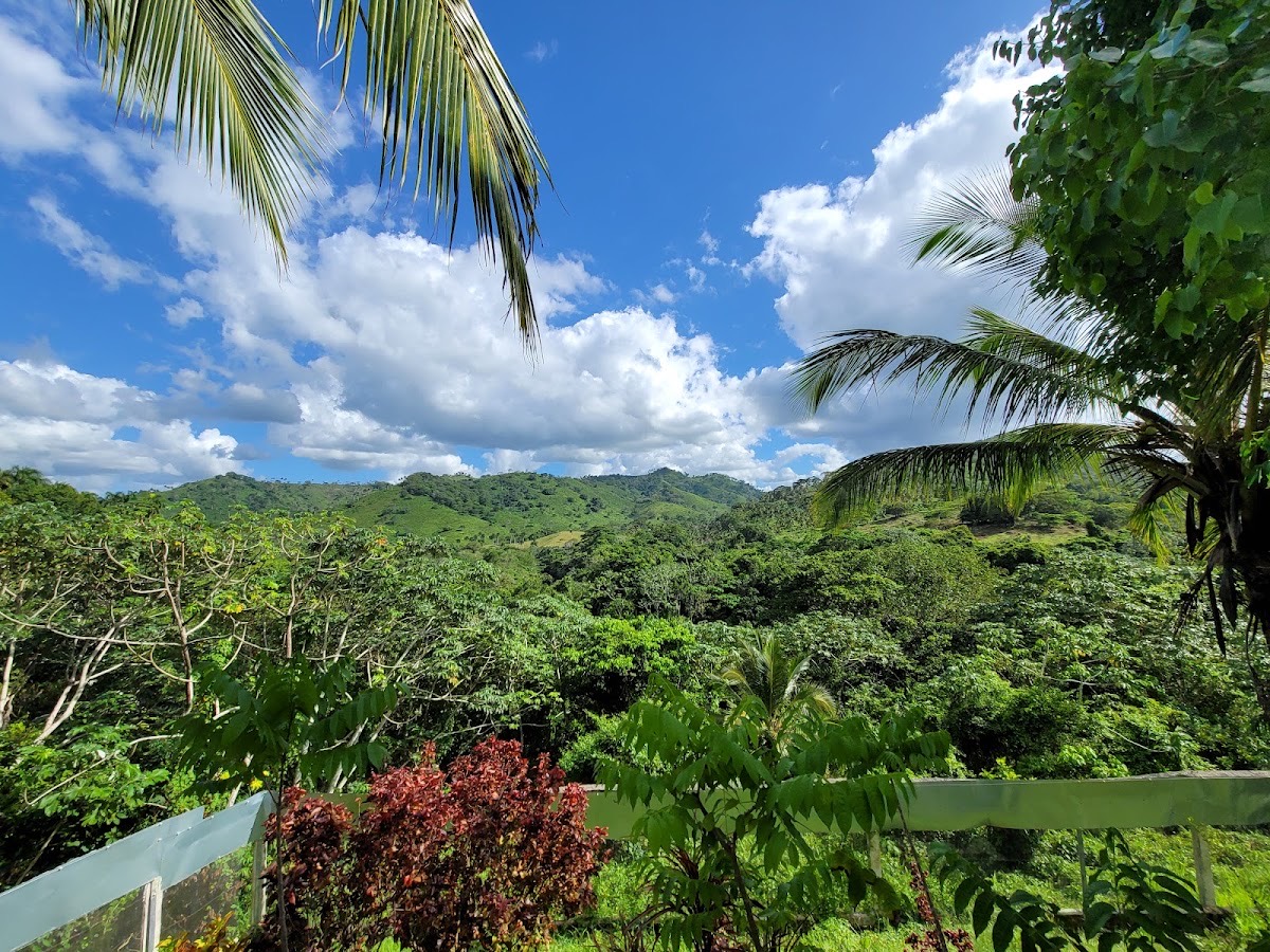 Monkeyland — Punta Cana