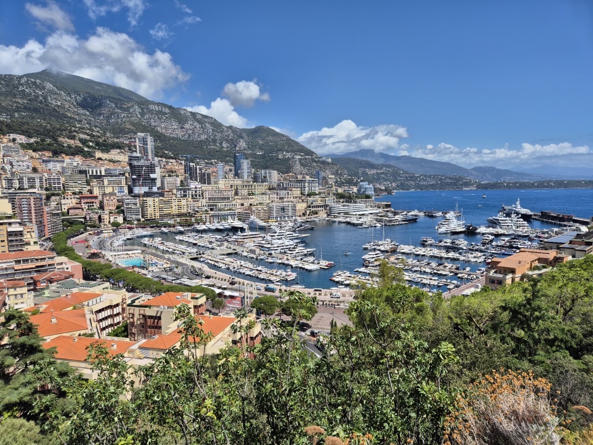 Monte Carlo Viewpoint — Monte-Carlo