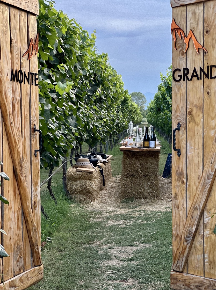 Monte Grande Winery — Podgorica