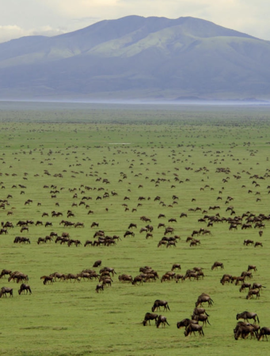 ngorongoro conservation area authority headquater — Ngorongoro
