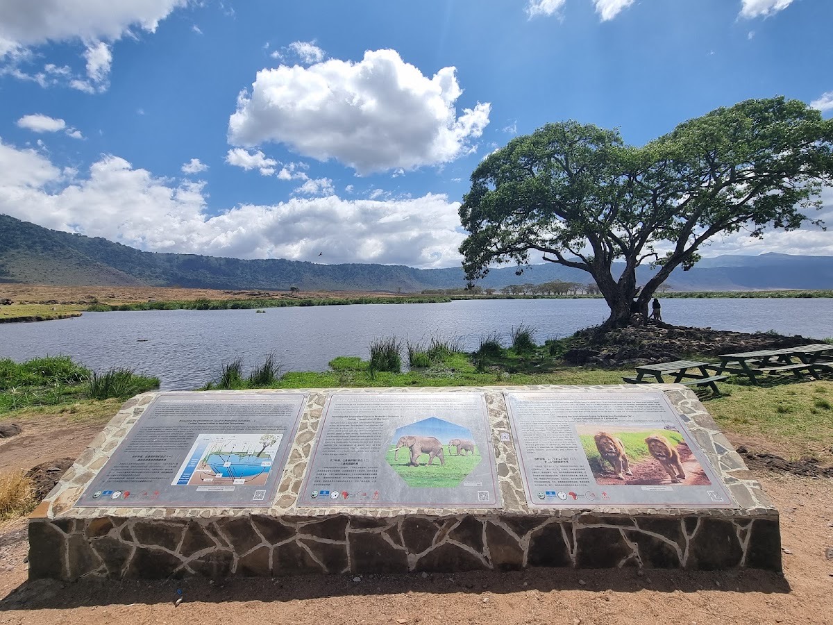 Ngorongoro Krater Nationalpark — Ngorongoro