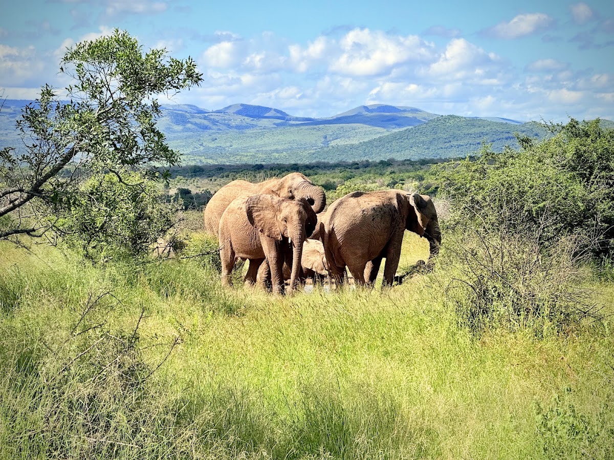 Nyalazi Gate - Hluhluwe-iMfolozi Game Reserve — Hluhluwe