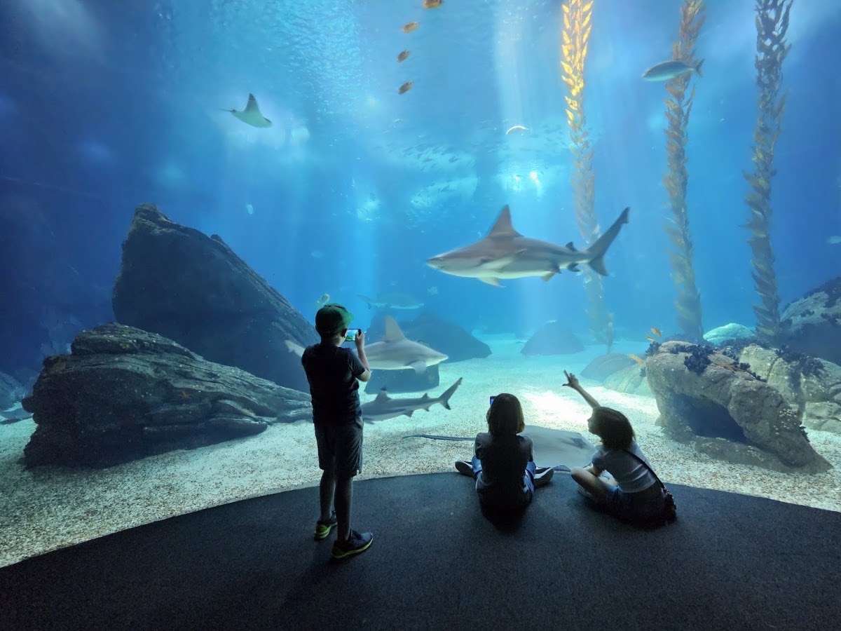 Oceanário de Lisboa — Lissabon