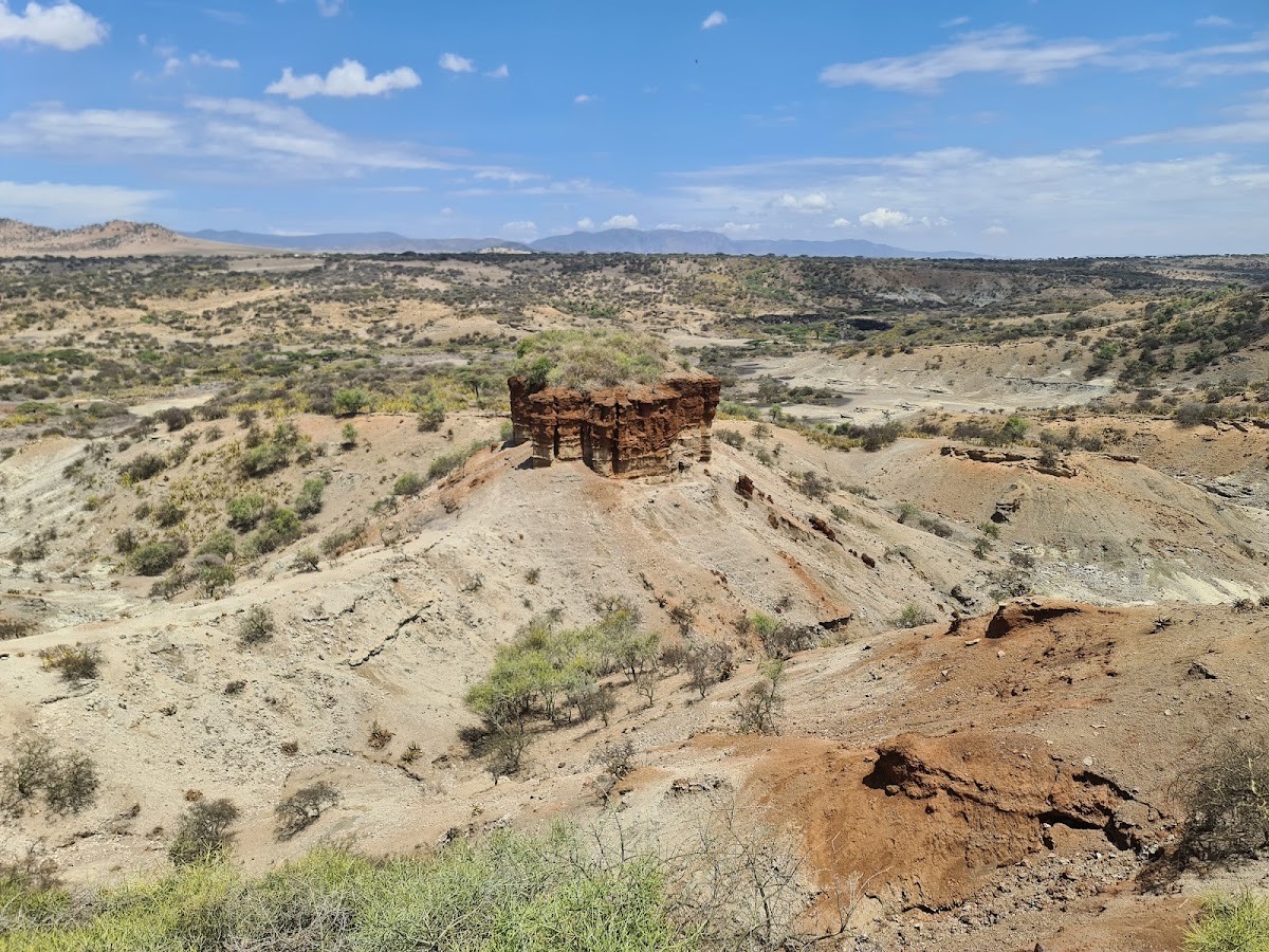 Olduvai-Schlucht — Ngorongoro