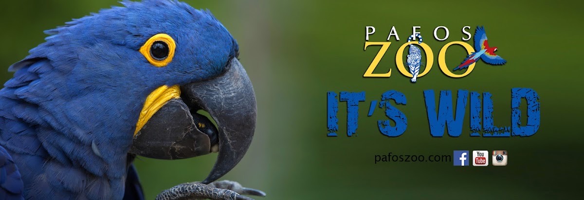 Pafos Zoo