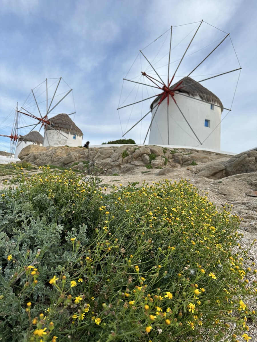 Panorama Windmill — Mykonos
