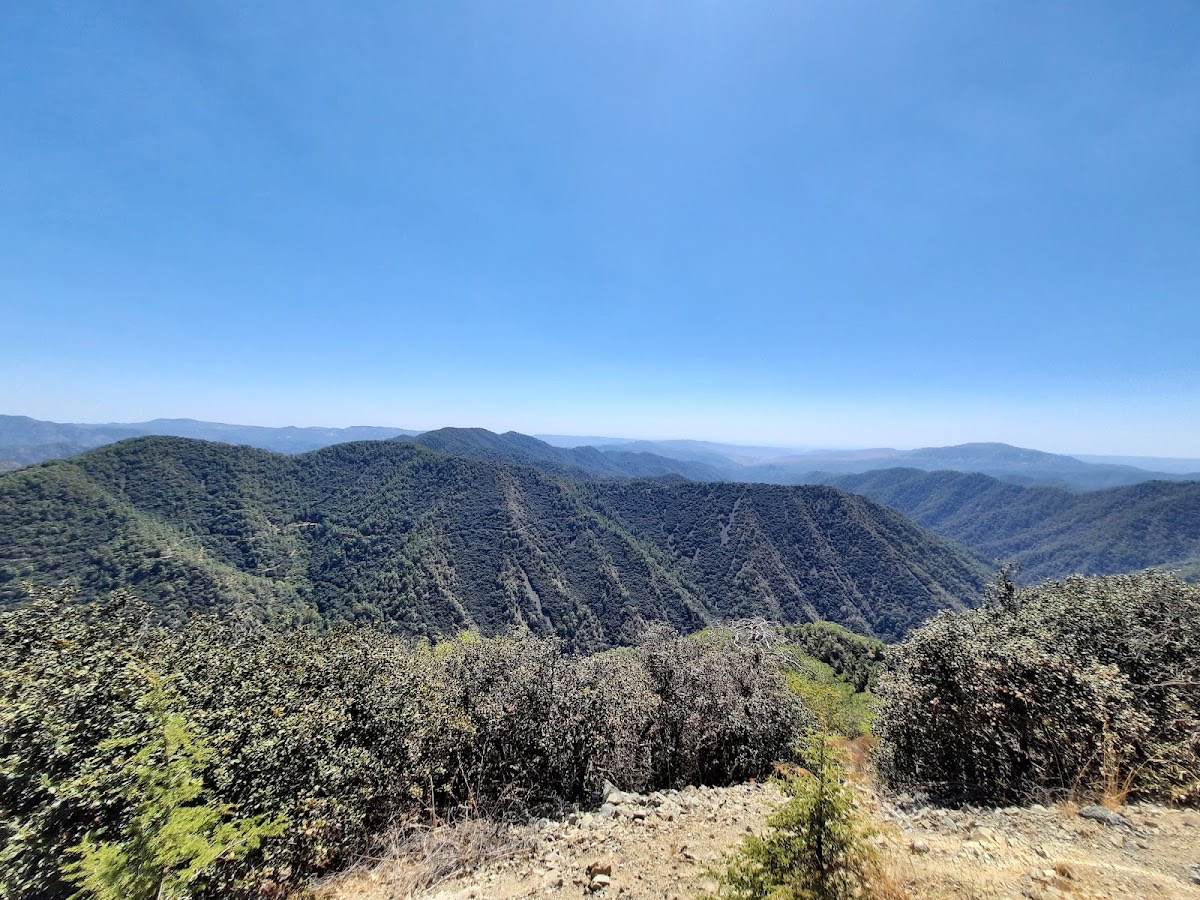 Paphos Forest — Paphos