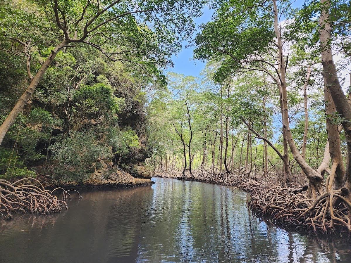 Parque Nacional Los Haitises — Samaná