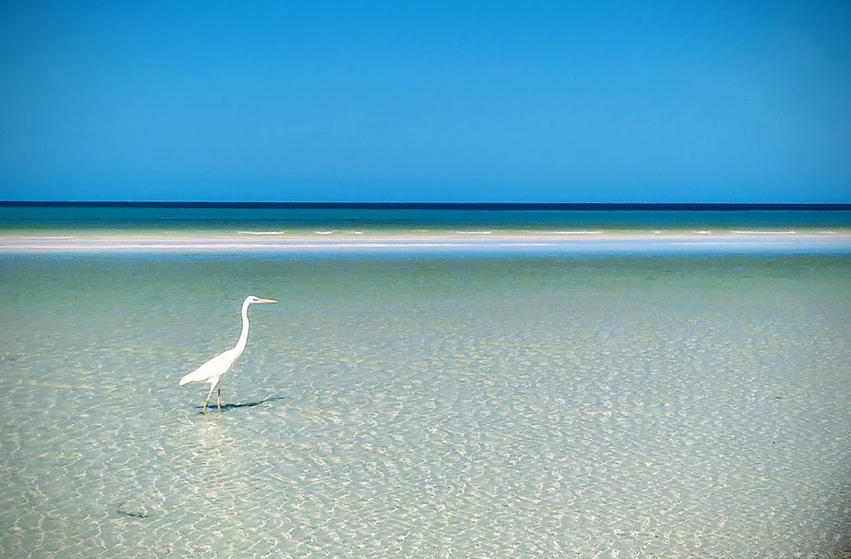 Punta Mosquito — Holbox
