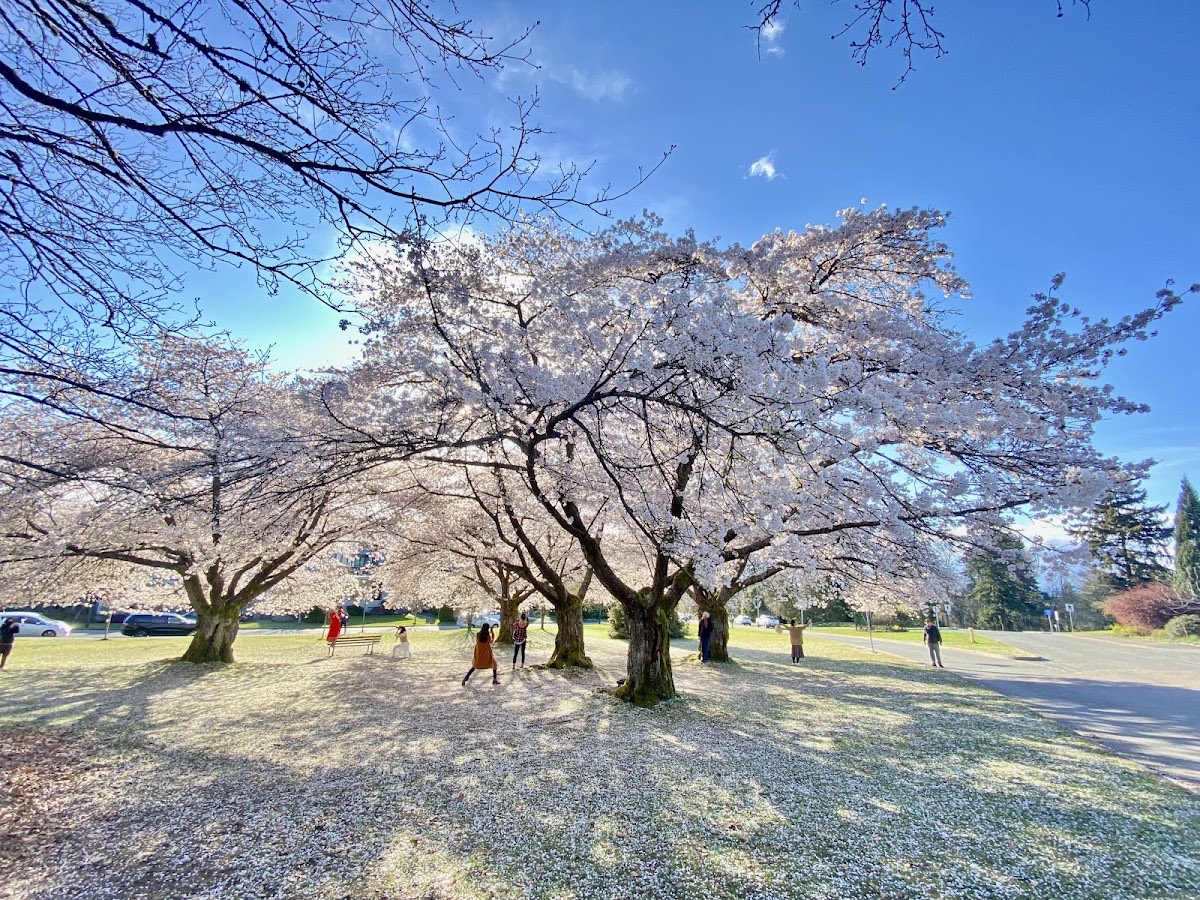 Queen Elizabeth Park — Vancouver