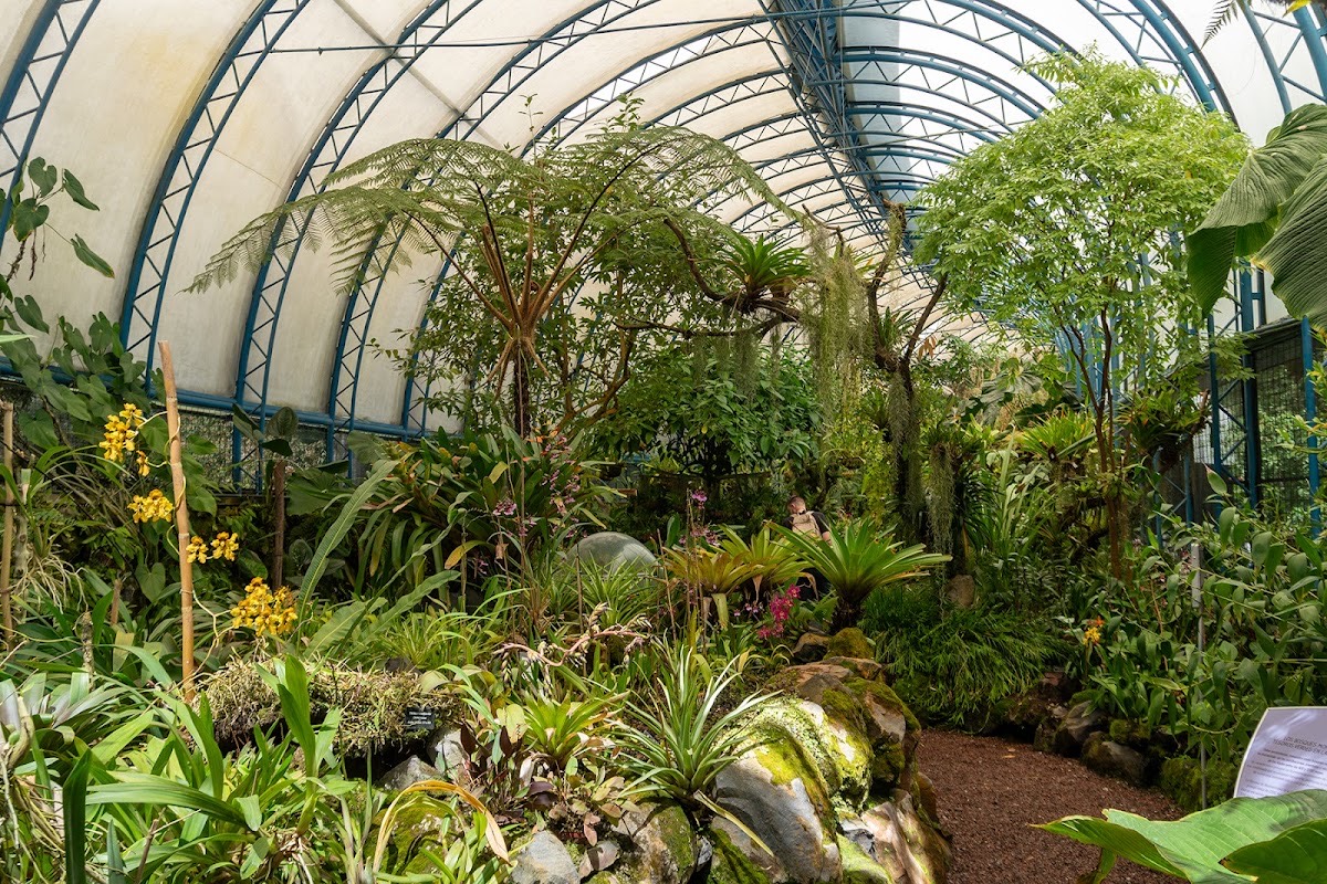 Quito Botanical Gardens — Quito
