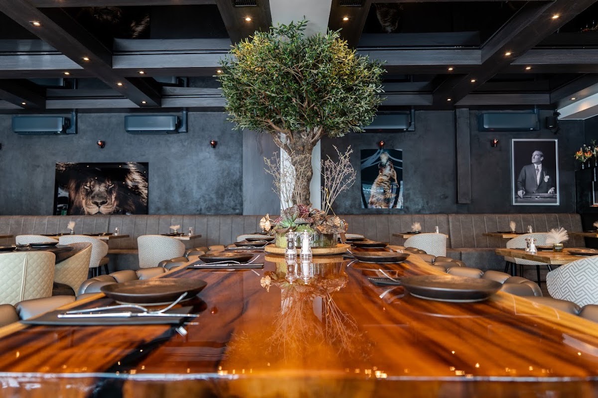 Restaurant Black Olive Amsterdam — Amsterdam