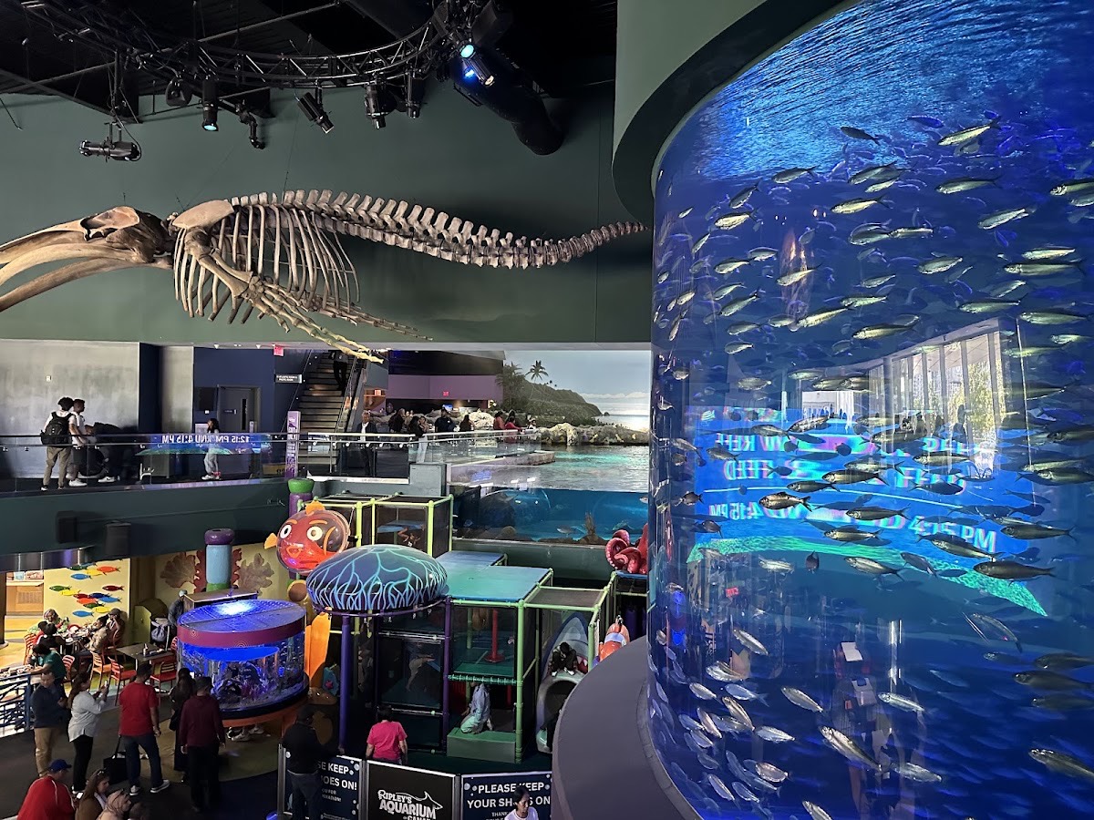 Ripley's Aquarium of Canada