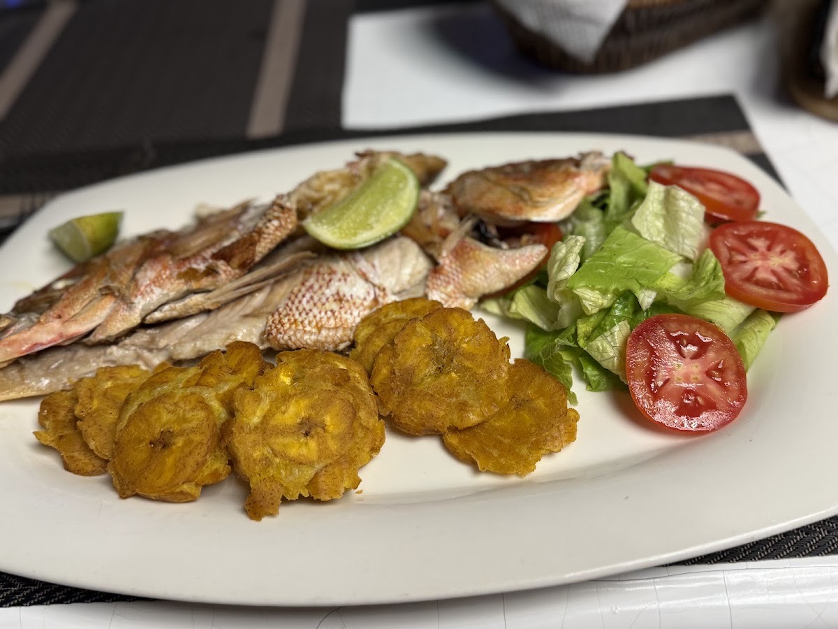 Rocka restaurant Punta Cana — Punta Cana