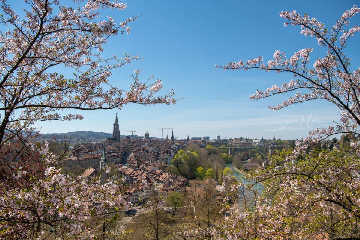 Rosengarten Bern — Bern