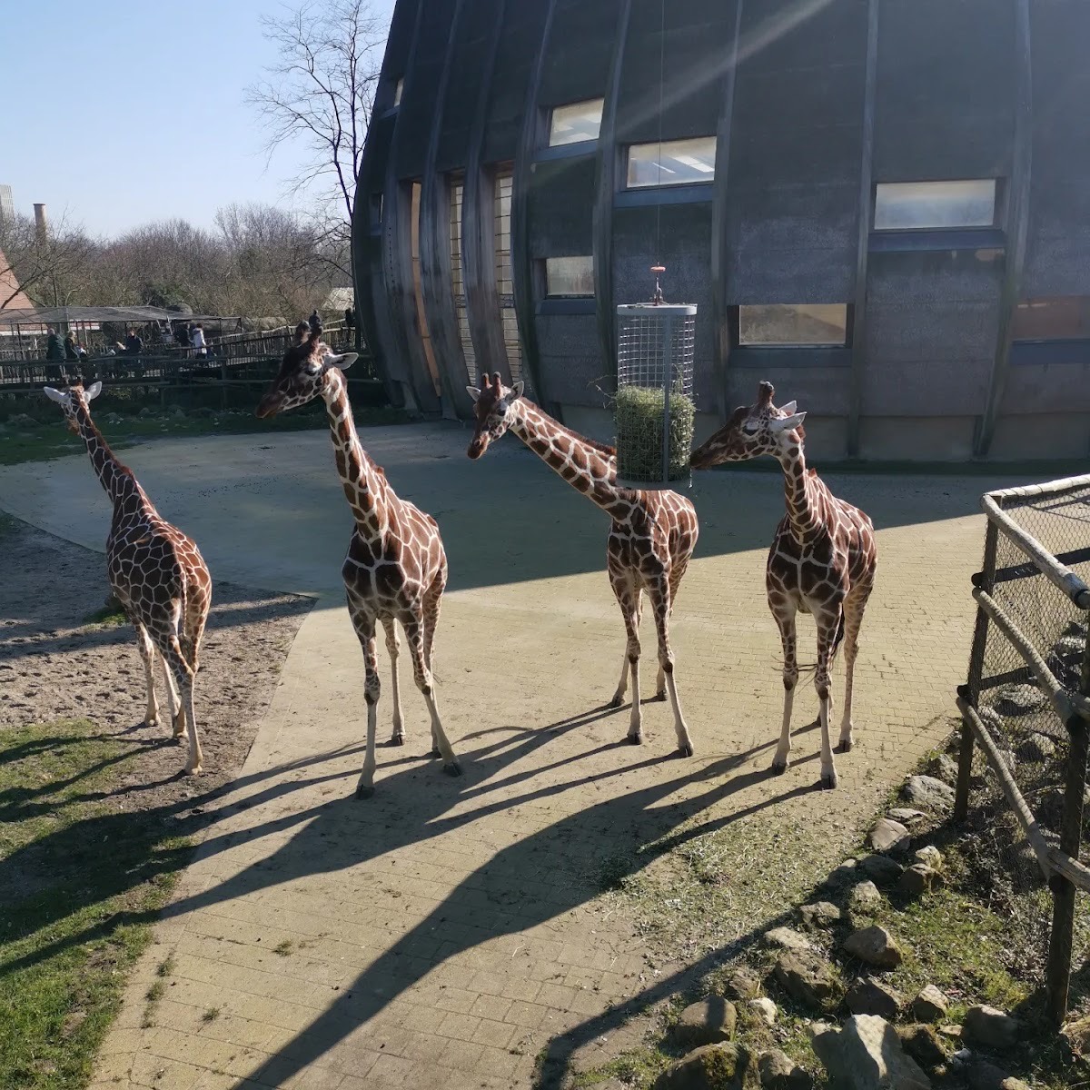 Rotterdam Zoo — Rotterdam