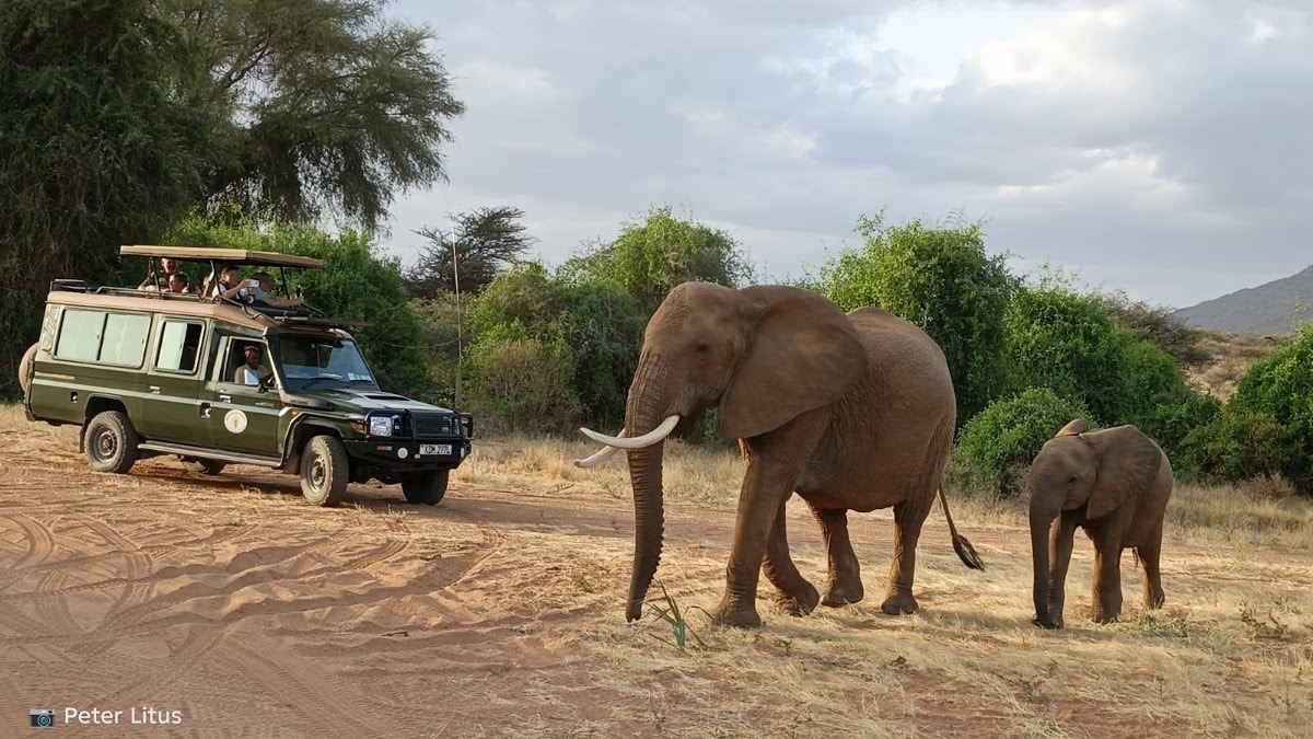 Samburu National Reserve — Samburu