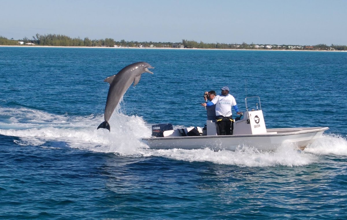 Sanctuary Bay Grand Bahama — Freeport