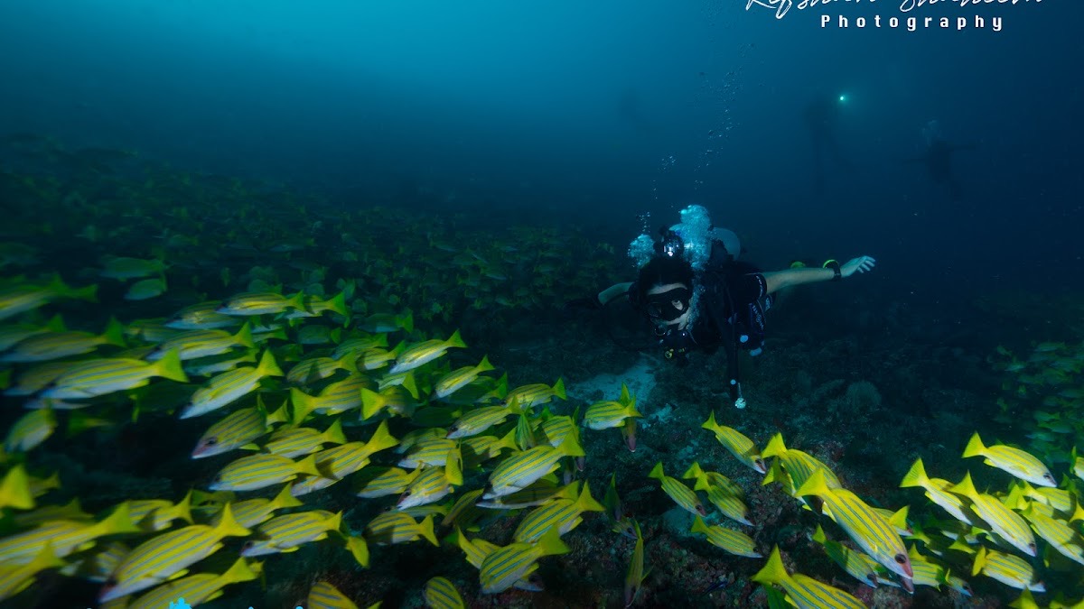 Scuba Divine Maldives - Dhangethi — Dhigurah